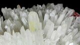 Realgar On Quartz Crystal Cluster - Peru #89356-4